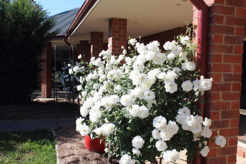 Gundaroo Manor Bed & Breakfast - South Australia Travel 3