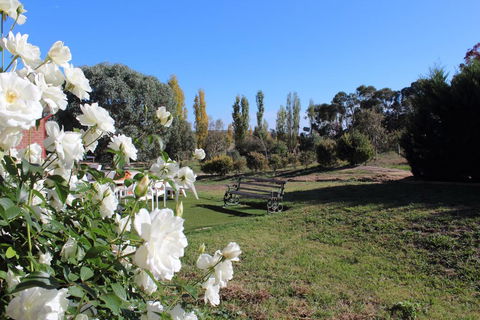 Gundaroo Manor Bed & Breakfast - South Australia Travel 2