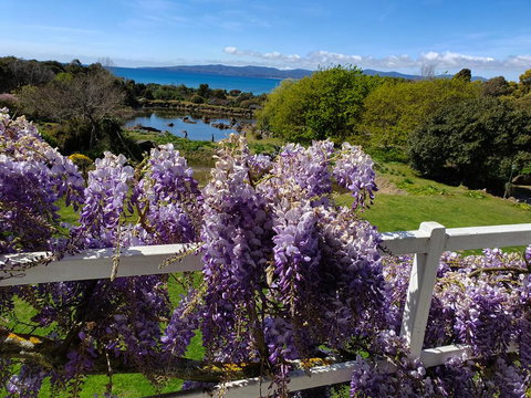 Hawley House - South Australia Travel 3