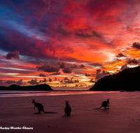Heather's Mica Cottage