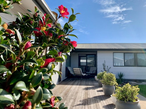 Homely Getaways In Surf Beach - Pet Friendly - South Australia Travel 0