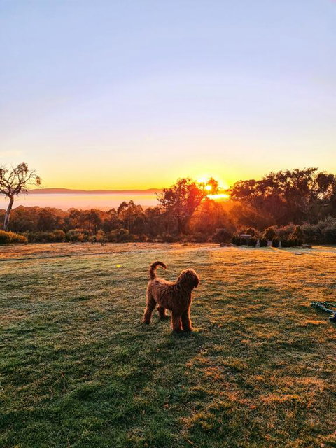 Horningsea - South Australia Travel 3
