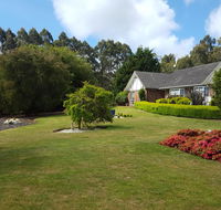 Jarrah - South Australia Travel