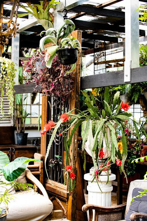 Jaspers Apartments - South Australia Travel 3