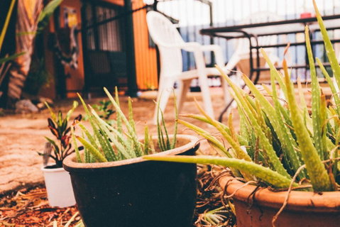 JJs Backpackers Hostel - South Australia Travel 2