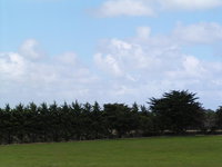 Karingal Homestead BB