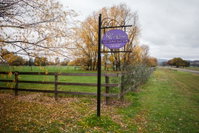 King River Cottage