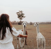 Laurina Estate - South Australia Travel