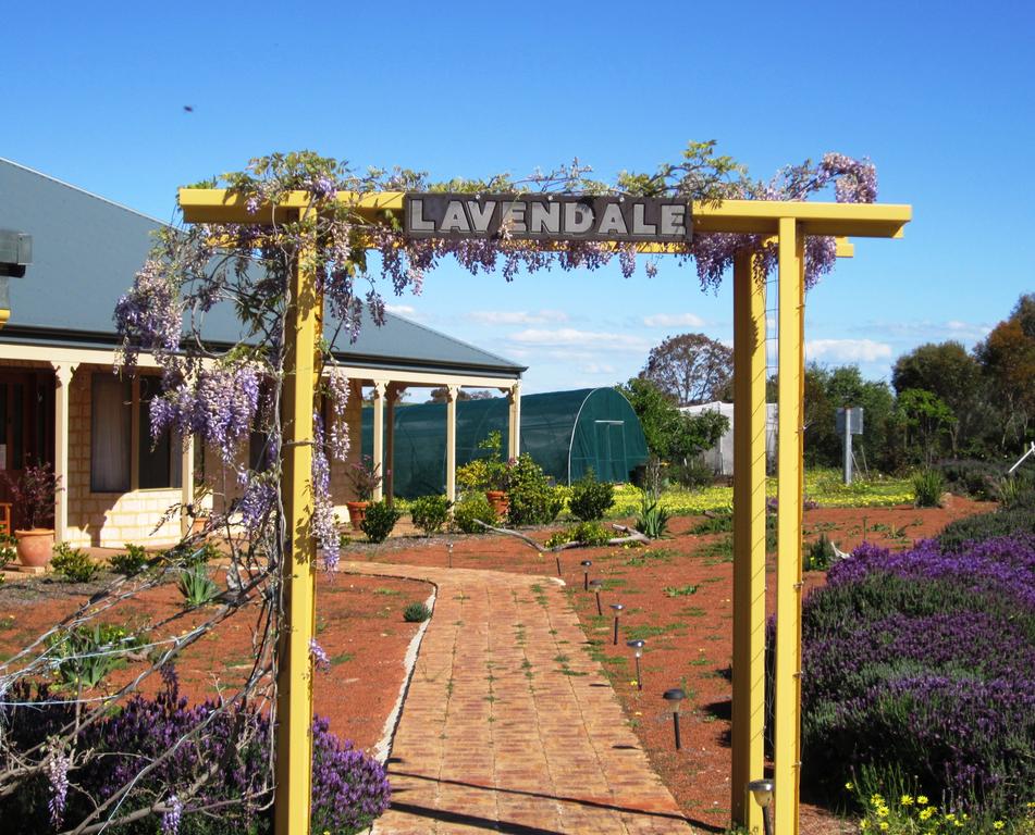 Gilgering WA South Australia Travel