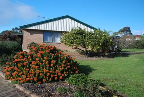 Lemontree Cottage - South Australia Travel 0