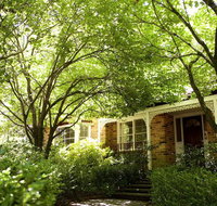 Leura Camellias - South Australia Travel