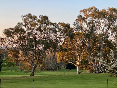 Links House - South Australia Travel 2
