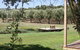 Manzanillo Grove Villa - thumb 2