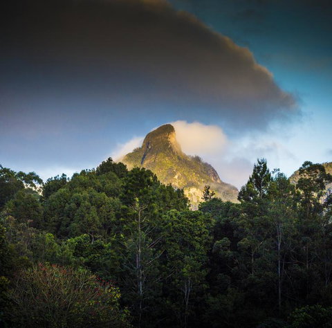 Mavis's Cabins @ Mt Warning - South Australia Travel 1