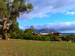 Book Wartook Accommodation South Australia Travel South Australia Travel