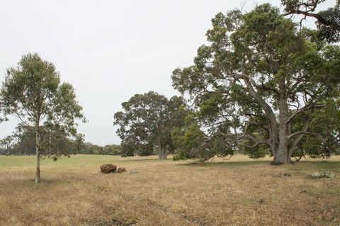Metricup House - Elegant Country Retreat - South Australia Travel 2