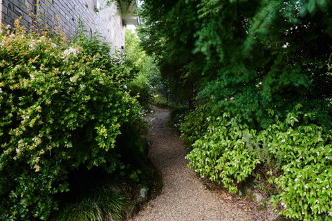 Mountain Sojourn - South Australia Travel 1