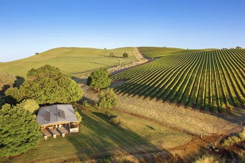 Mt Bellevue - South Australia Travel 0