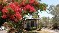 Book Mount Larcom Accommodation Vacations South Australia Travel South Australia Travel