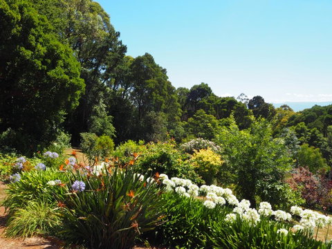 Murrindindi - South Australia Travel 0