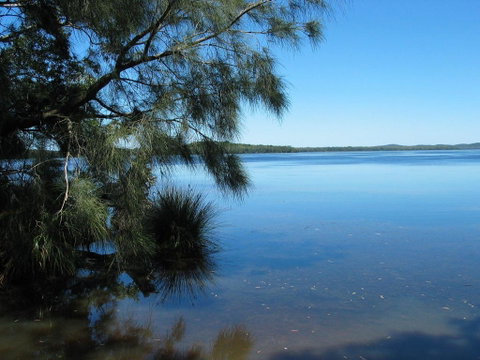 Myall River Magic - South Australia Travel 1