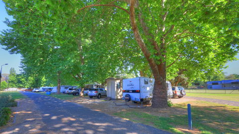 Myrtleford Holiday Park - South Australia Travel 1