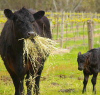 Naimanya Cottage - South Australia Travel