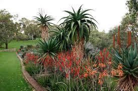 Dunes Scarborough Beach - South Australia Travel 34
