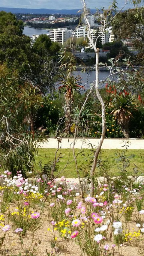 Dunes Scarborough Beach - South Australia Travel 43