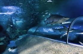 Dunes Scarborough Beach - South Australia Travel 29