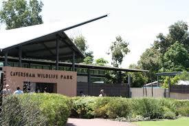 Dunes Scarborough Beach - South Australia Travel 40