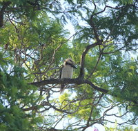 Jacaranda Hideaway Bed  Breakfast - South Australia Travel