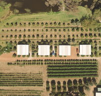 Swan Valley Sisters - South Australia Travel