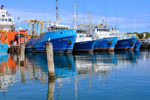 Gallery Serviced Apartments - South Australia Travel 27