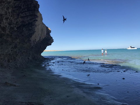 Peoples Park - South Australia Travel 36