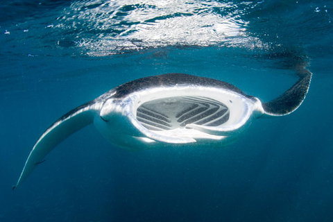 Peoples Park - South Australia Travel 32