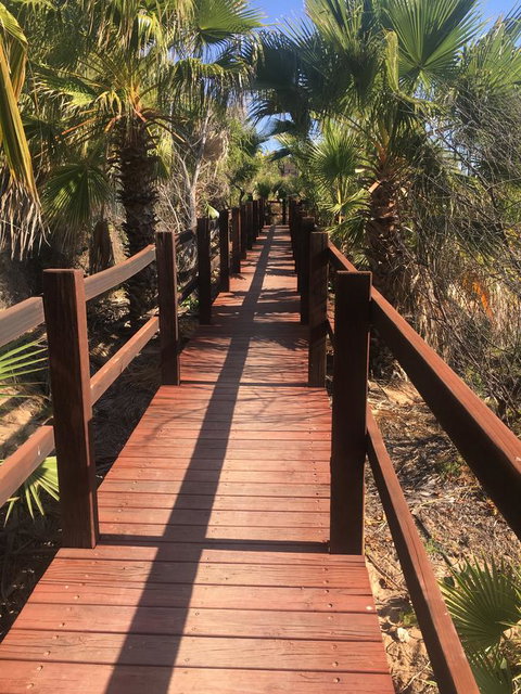 Peoples Park - South Australia Travel 10