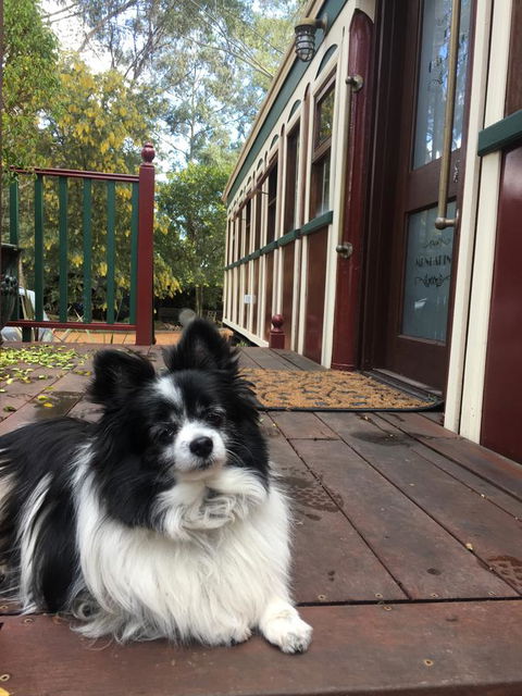 Quiet Escapes Cottages - South Australia Travel 15