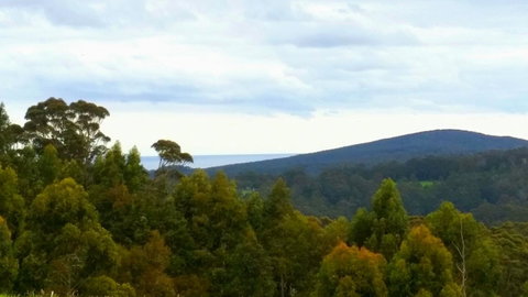 Karri Aura - South Australia Travel 10
