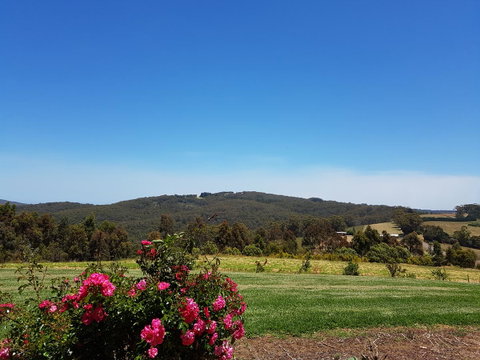 Karri Aura - South Australia Travel 9