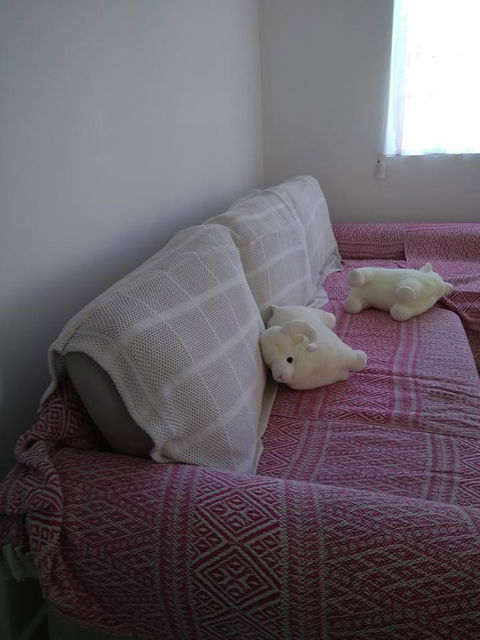 DIANELLA Budget Rooms Happy Place To Stay - South Australia Travel 29