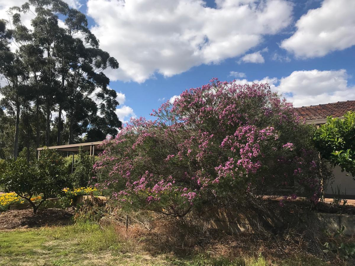  South Australia Travel