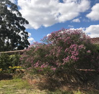 Cockburn Retreat Home  - South Australia Travel