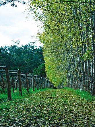 Hawke Brook Chalets - South Australia Travel 12