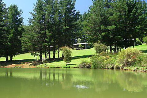 Hawke Brook Chalets - South Australia Travel 2