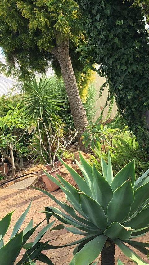 Armadale Cottage Bed & Breakfast - South Australia Travel 1