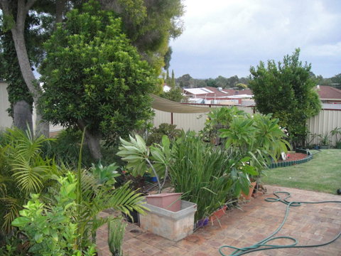 Armadale Cottage Bed & Breakfast - South Australia Travel 39