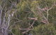 12/26 Yallingup Beach Road - thumb 19