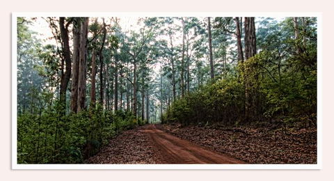 Oak Tree Barn Bridgetown - South Australia Travel 14