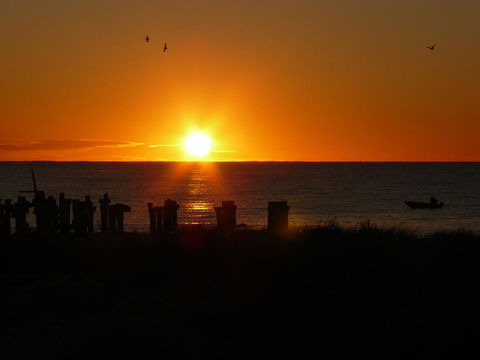 Jurien Bay Tourist Park - South Australia Travel 28